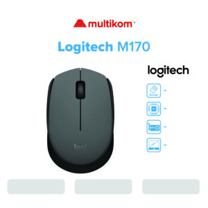 MOUSE LOGITECH M170
